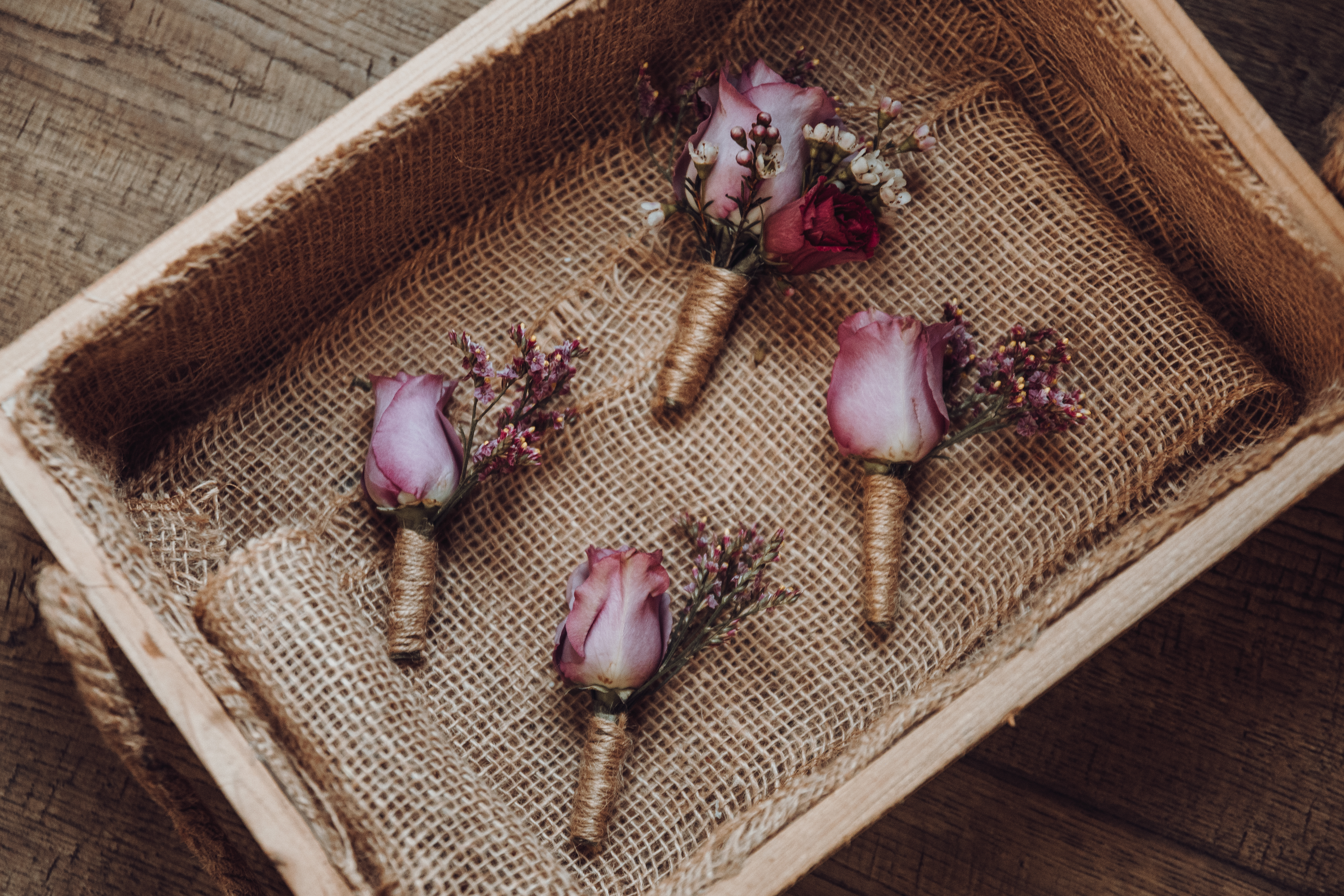 Hayleycronephotography